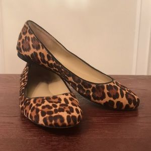 Ann Taylor Leopard Print Flats